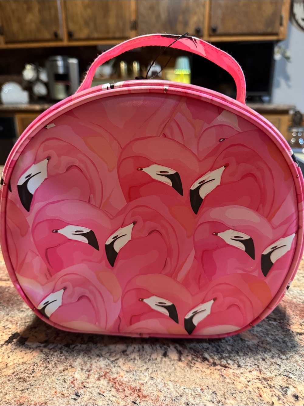 Round Pink Flamingo Heart Print Carry Case